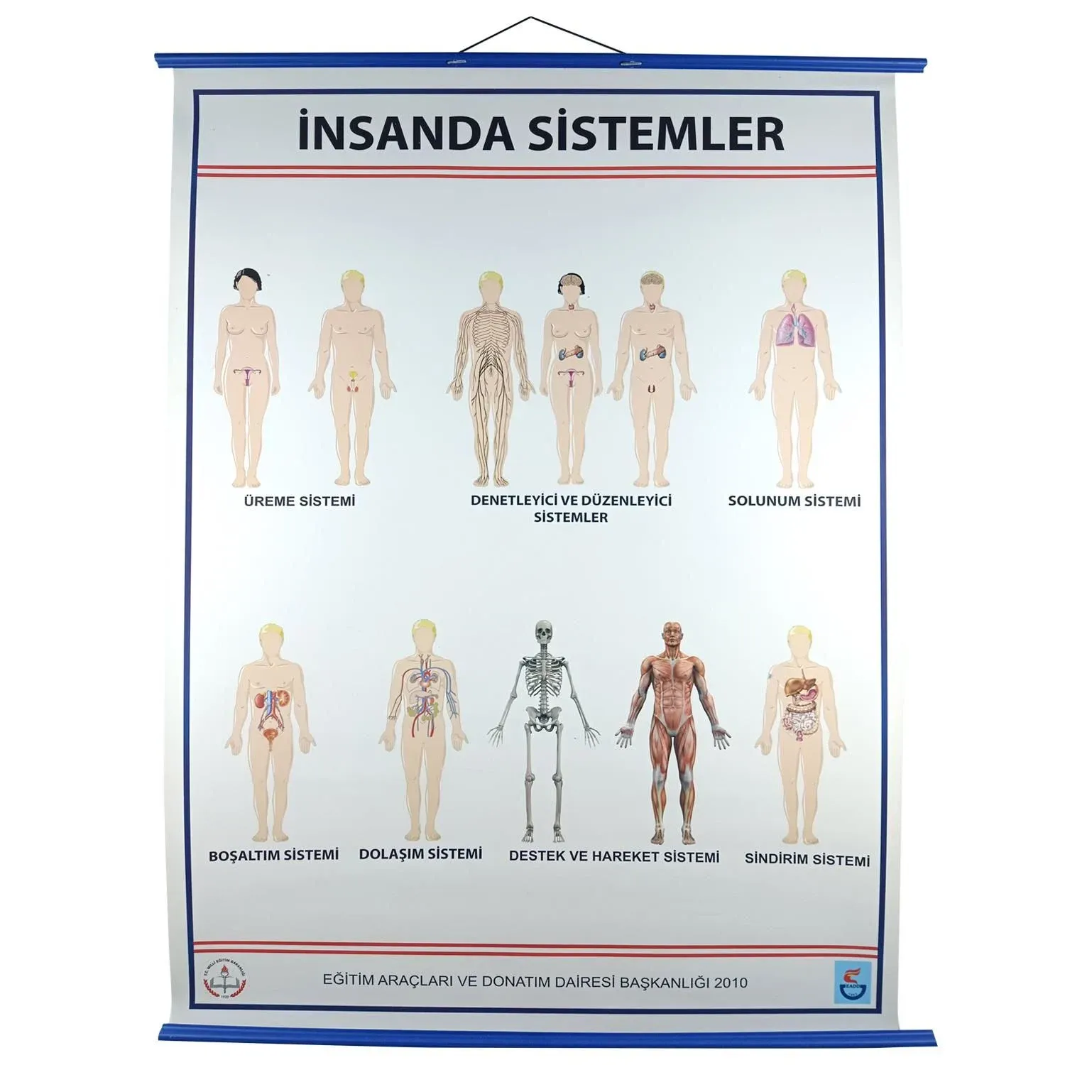 İnsanda Sistemler Levhası  (70X100)