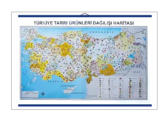 Türkiye Tarım Ürünleri Dağılış Haritası 85X135 CM